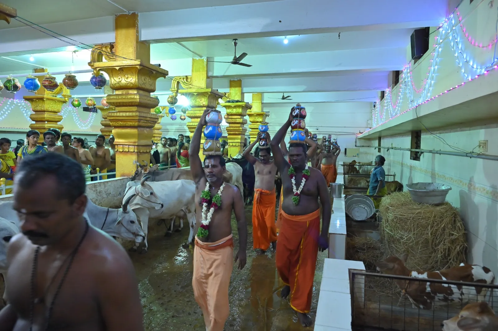 Image 7 - Temple interior with priests in procession, golden pillars, devotees