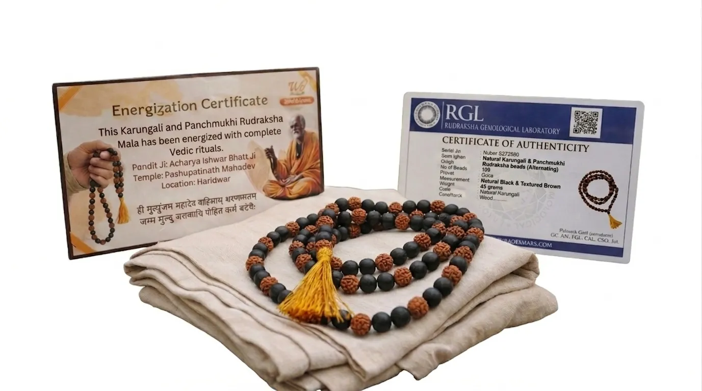 Complete Package with Certificates