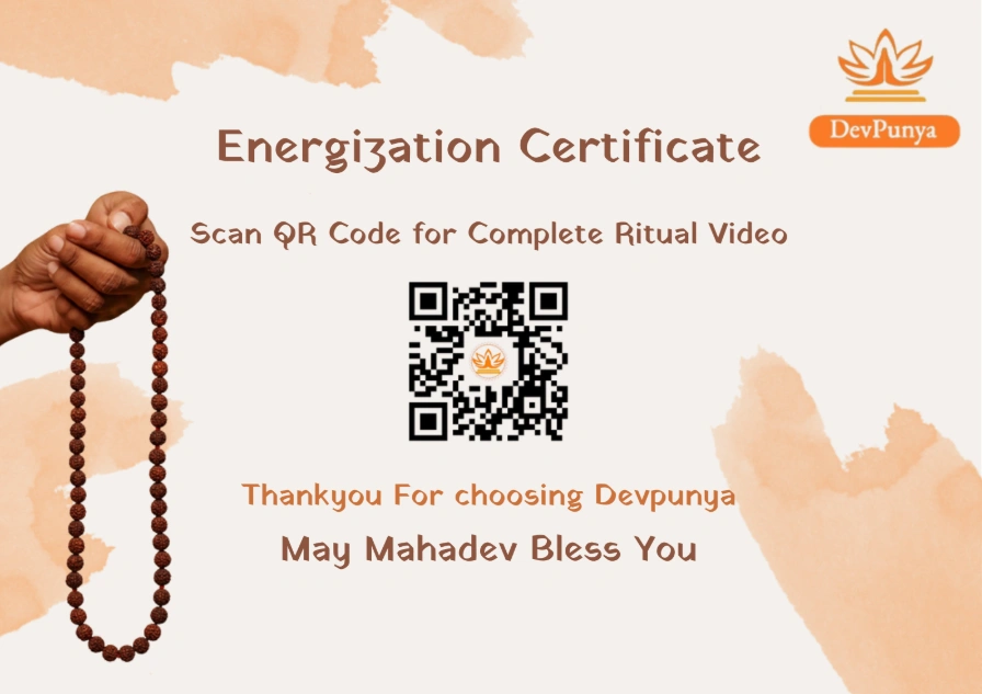 Devpunya always provides Energization Certificate,Scan the QR to Verify