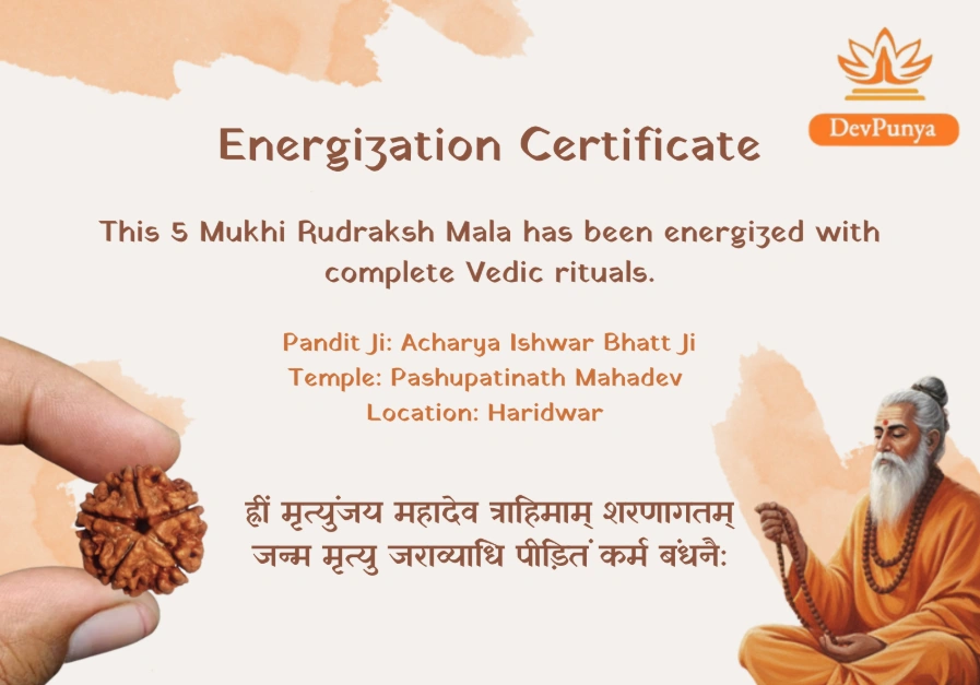 Panchmukhi Image 12 - Energization Certificate
