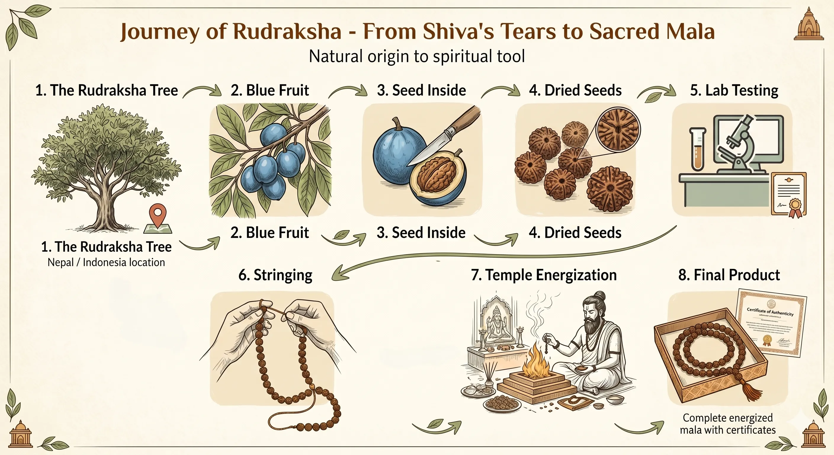 Panchmukhi Image 22 - Journey of Rudraksha from Shiva's Tears to Sacred Mala
