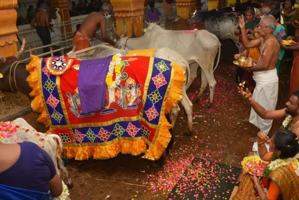 The deity Lord Sri Etteluthuperumal — six feet of sandalwood, draped in silver, the Eight-Letter Lord